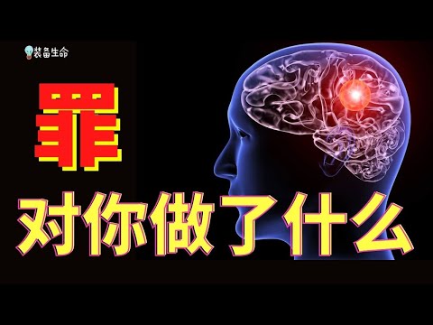 知识启点 【罪对你做了什么事？】成瘾的科学