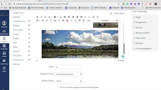 Canvas Reading assessment