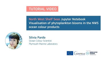 Jupyter Tutorial - NWS Seas - Ocean Colour products - Visualization of phytoplankton bloom