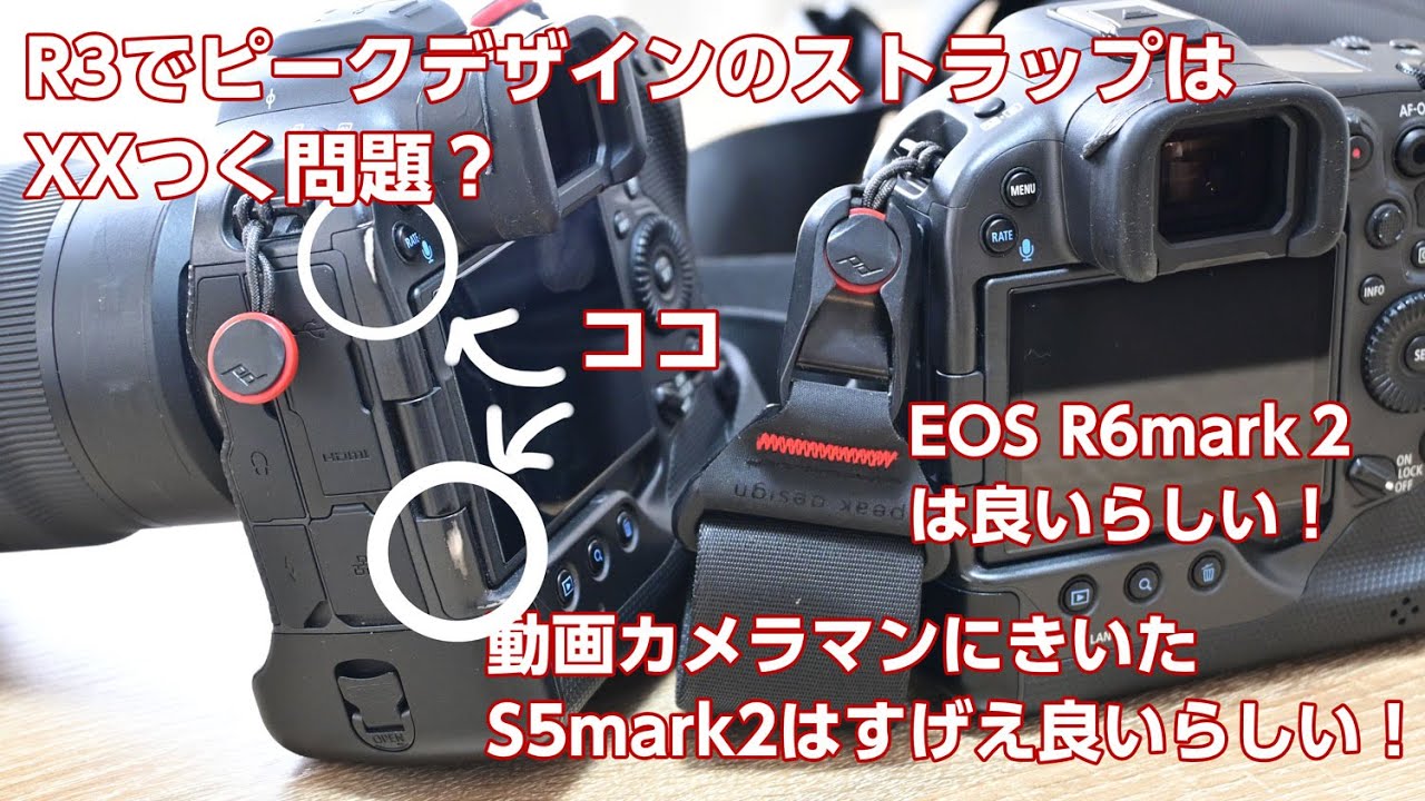 canon R6 ピークデザインストラップ・UHS-Ⅱ SDカードセット Canon EOS R6と一緒に買ったもの｜ベイマカー