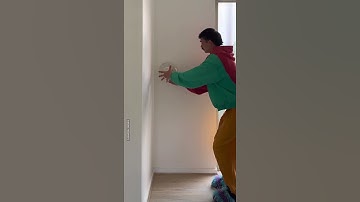 Huntsman Spider Fights Back 😱🕷️