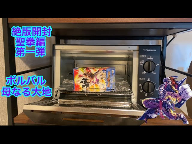 旧枠 デュエルマスターズ 聖拳編 開封済10パック ボルバルザーク