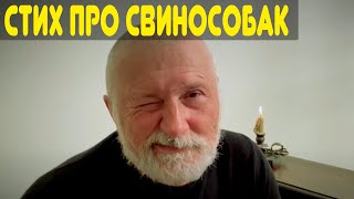 Вся Украина Угарает Над Этим Стихом Про Свинособак От Стаса Боклан Из Лиги Смеха