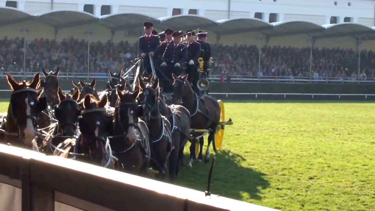 Mehrspänner Haupt- und Landgestüt Neustadt/Dosse - Hengstparade 03.10.2015 Landgestüt Celle