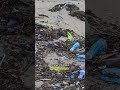 Sampah Indonesia Nyebrang Laut