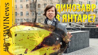 Голова динозавра в янтаре и другие влипшие 99 млн. лет назад. Ярослав Попов #DARWINews