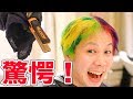 温度で色が変わるヘアカラー!ヴィヴィッドムードカラー使ってみた!【Pravana Vivids Mood Color 】
