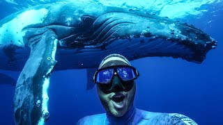 The BEST experience of my Life! Freediving with Humpbacks in Tonga