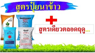 คลิปรวม...สูตรปุ๋ยนาข้าวสูตรเดียวจบ..และสูตรรับรวงทั่วไป