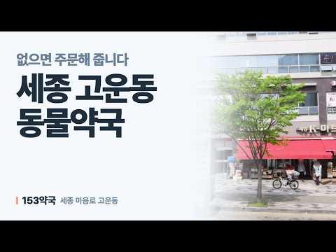 세종 고운동 동물약국 어디로 가면 좋을까 — 153약국