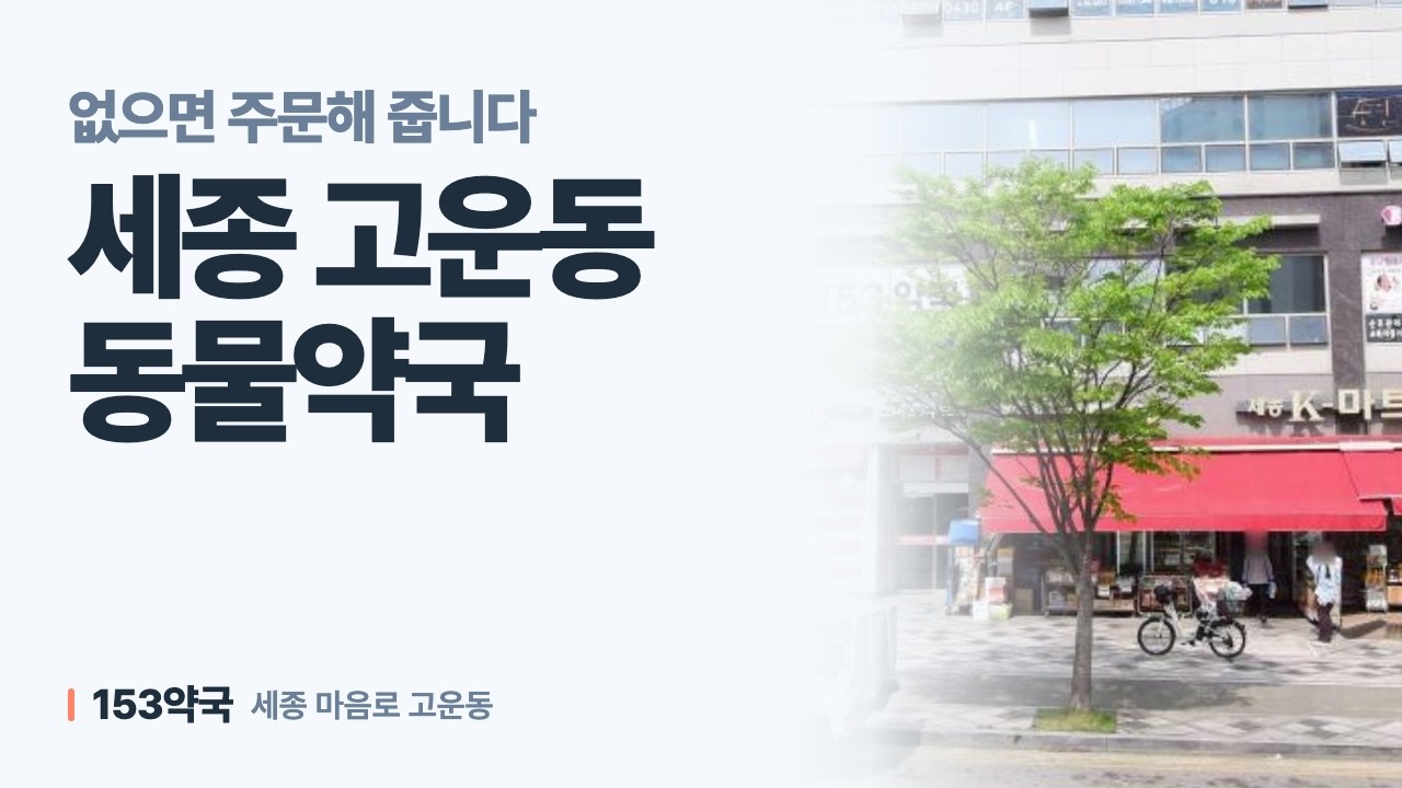세종 고운동 동물약국 어디로 가면 좋을까 — 153약국