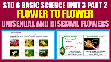STD 6 Basic Science Unit 3|Flower To Flower Part 2|SCERT Kite Victers  STD 06 Worksheet|Umakkutty