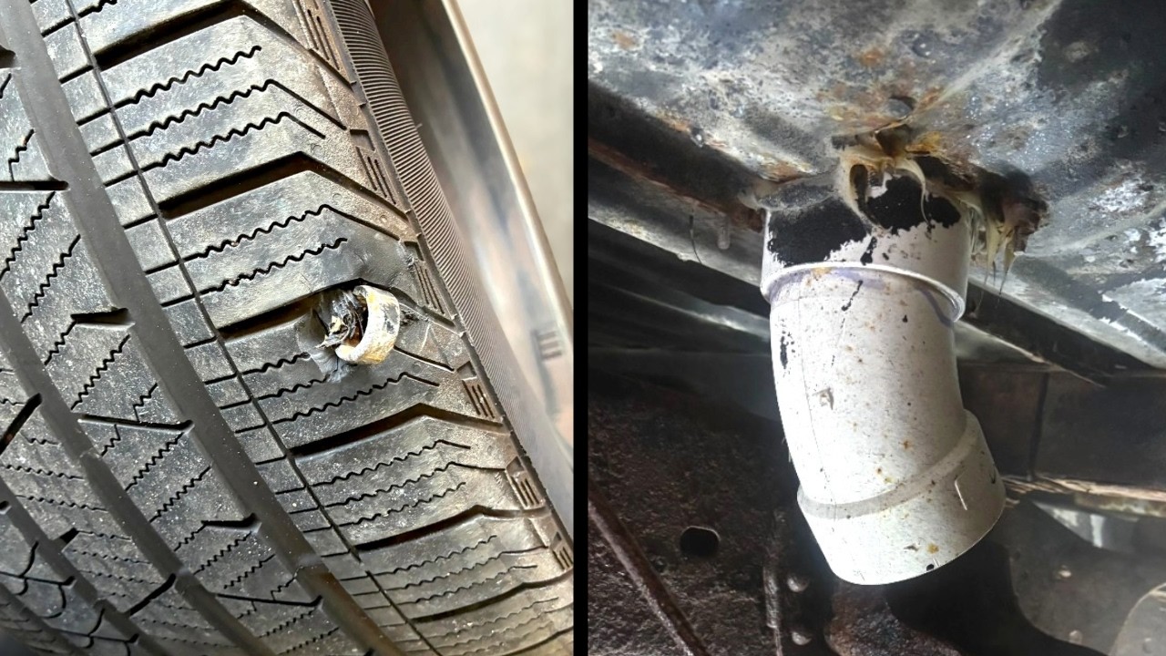 Customer States Compilation (Best of September & October 2025) | Just Rolled In