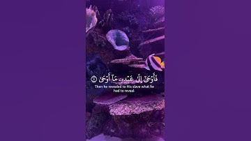 والنجم إذا هوى #قرآن #تلاوة_خاشعة #اكسبلور