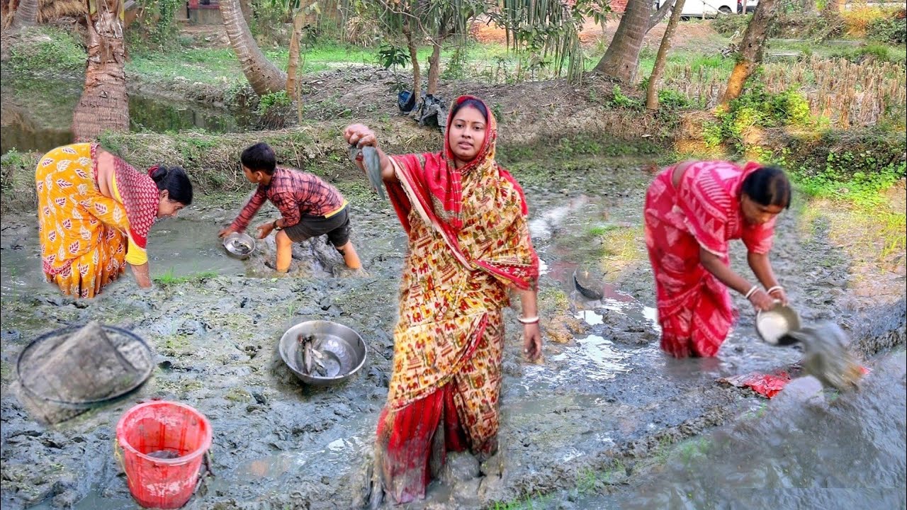 জমি থেকে মাছ ধরে আজ রান্না করলাম ভাপে কৈ রেসিপি||mud fishing in village