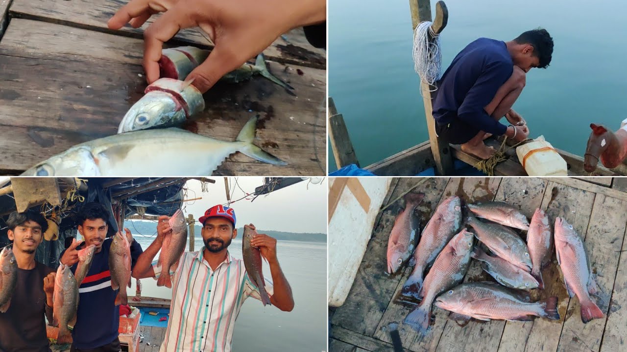 खाडीमध्ये गरवून मासे पकडण्याची धम्माल , कोकणातील मासेमारी | Traditional fishing in kokan #tejagurav