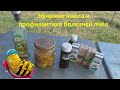 Эфирные масла и профилактика болезней пчёл