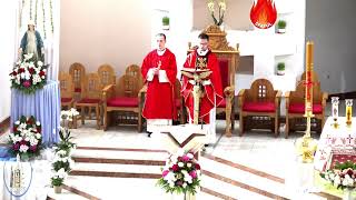 LIVE - Biserica Romano-Catolică  Sfinţii Petru si Paul  Bacau