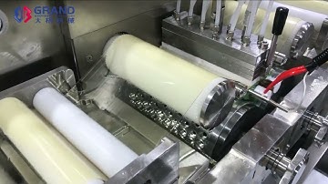 RJWJ -200C Softgel Encapsulation Machine