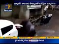 Watch: Hungry Bison Attack Car and Scooter at Thane in Maharashtra