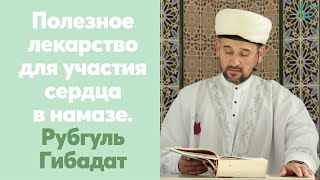 Полезное лекарство для участия сердца в намазе. Рубгуль Гибадат