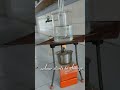 Watch the magic unfold with Silver mirror test ✨✨| Class 12 chemistry experiment