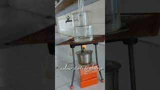Watch the magic unfold with Silver mirror test ✨✨| Class 12 chemistry experiment