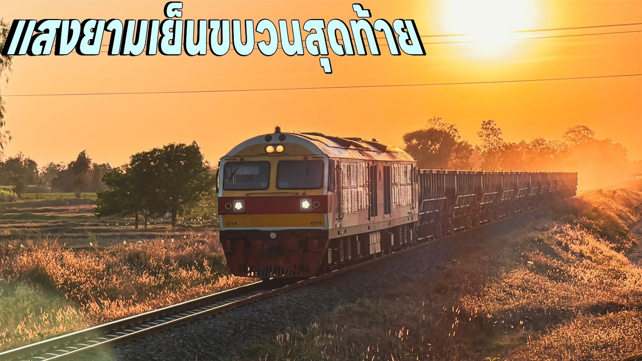 รถไฟวันที่10ก.พ. ขบวน 555 ได้ของดีจากทางใต้มาไกลเลย 1235สุดท้ายสวยมาก 1236 76 434 75 439