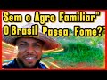 “GRANDE AGRO vs AGRO FAMILIAR" Entenda a diferença.