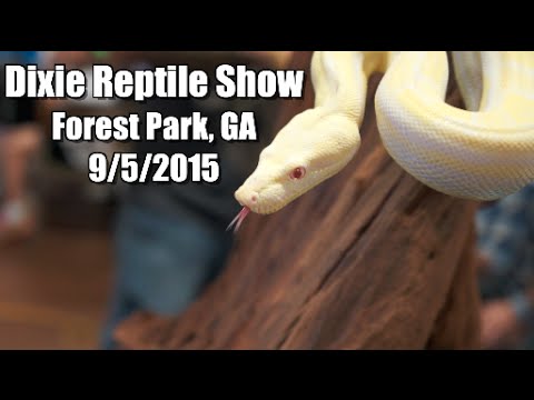 reptiles en ligne Dixie Reptile Show 2015