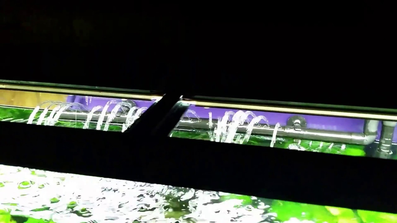 How To Position Spray Bar In Aquarium