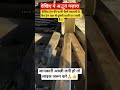 देखिए ट्रेन की पटरी कैसे बदलती है कैसे ट्रेन एक से दूसरी पटरी पर जाती है#news #india#train#shorts