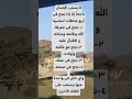 مفهوم النجاح اللهم نجاحا يعقبه فلاحا في الدنيا والآخرة يارب العالمين 
