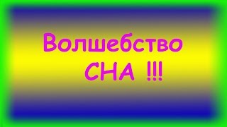 К чему снятся персики К чему снятся персики