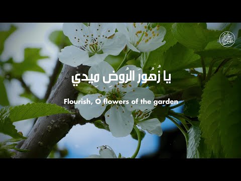 Flourish O Flowers يا زهور الروض ميدي - Arabic Nasheed