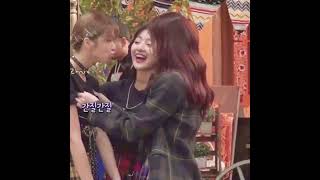Jeongyeon Uno Reverse On Sana