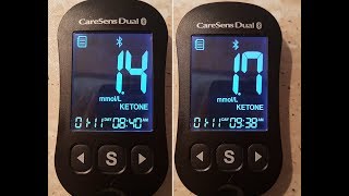 Testing Blood Ketones - Before and After MCT Oil [Jan 2018]