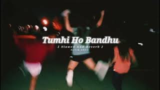 Tumhi Ho Bandhu Sakha Tumhi [ Slowed And Reverb ] Alfin Ahad @Zara  👈 Subscribe