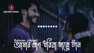 Amar Pran Dhoriya Maro Tan| আমার প্রাণ ধরিয়া মারো টান|(Lofi & Lyrics) | @Salman Jobyed |Bangla Lofi