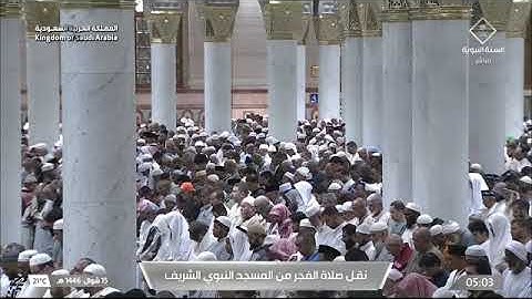 صلاة الفجر من المسجد النبوي 15 شوال 1446 للشيخ محمد برهجي فواتيح سورة النحل