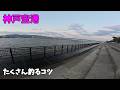 【神戸空港】コレを使えばたくさん釣れます。
