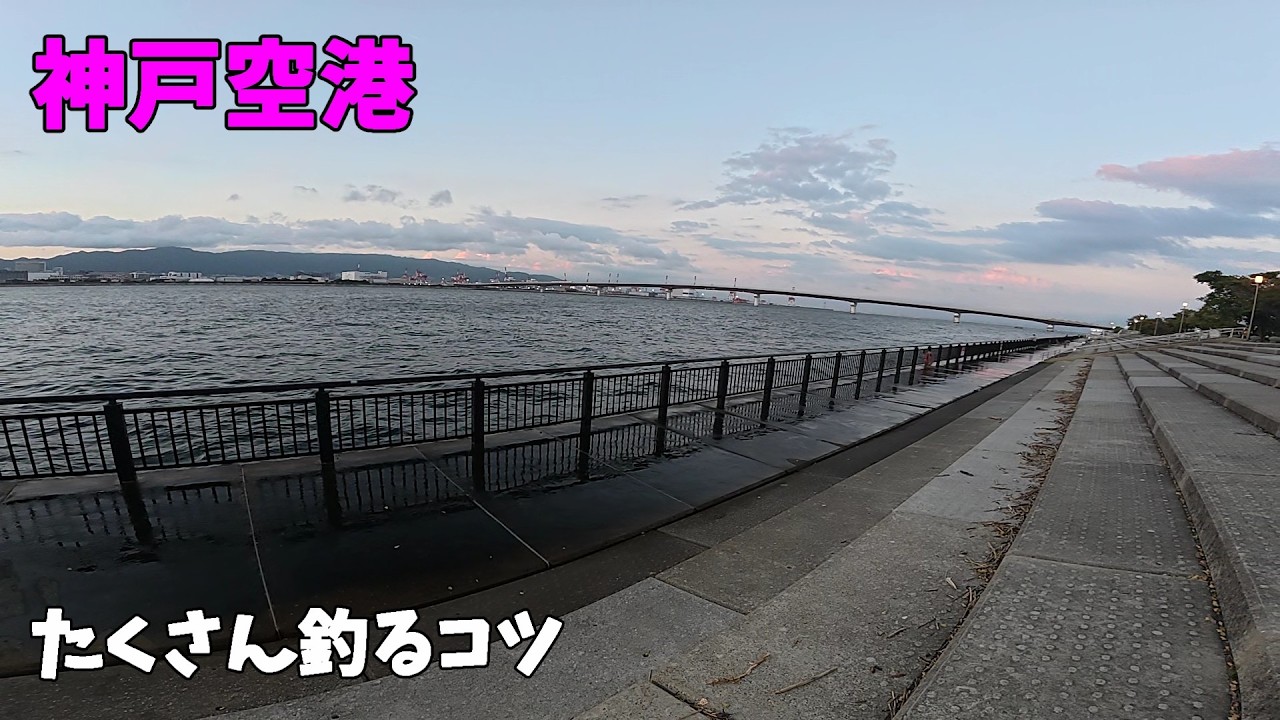 【神戸空港】コレを使えばたくさん釣れます。