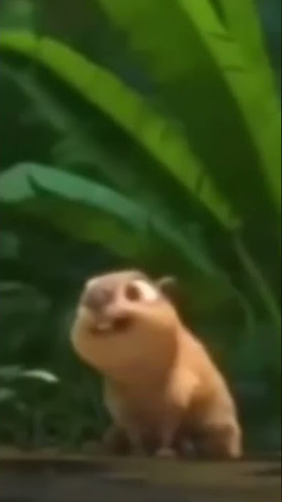 Clara the Capybara