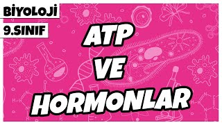 9. Sınıf Biyoloji - Atp Ve Hormonlar 2022