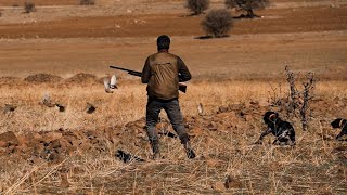 2021 / 22 Sezonu İlk Keklik Avı Partridge Hunting