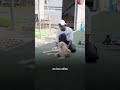 Último refugio de animales en Gaza
