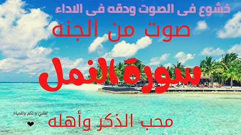 سوره النمل كما لم تسمعها من قبل