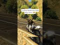 Trolling Players as a Fake Dog in GTA V 😂💀 #gtaviral #gtaonline #gta5online #gtacars #gta5