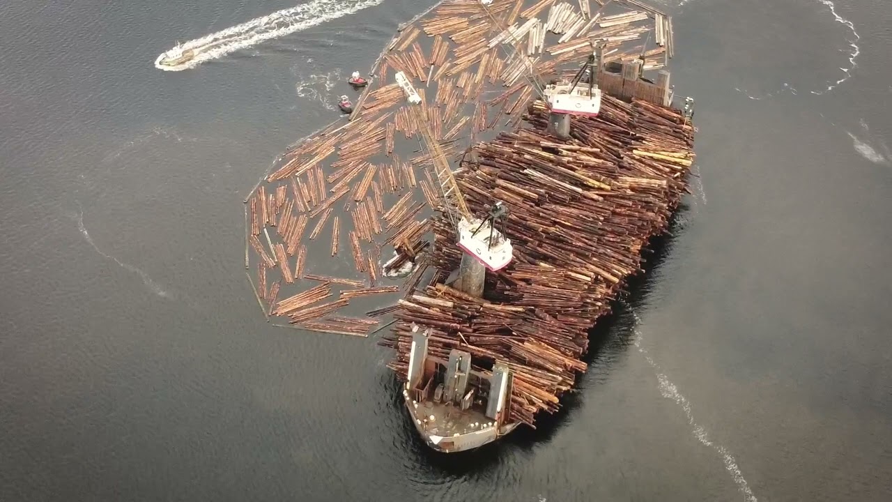 Clear cutting Haida Gwaii