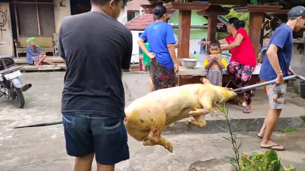 Babi Guling Bali , Part 2 